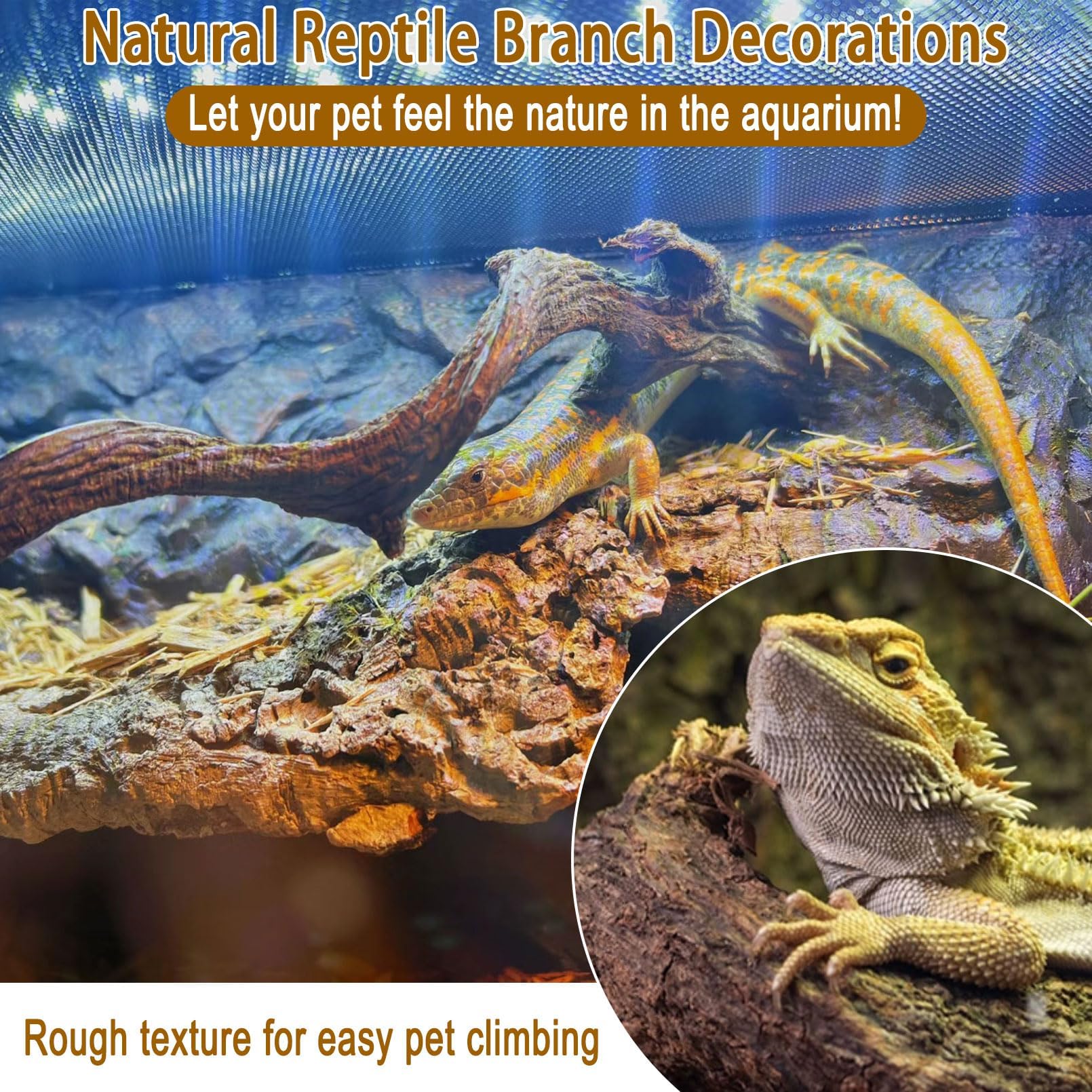 Reptile Decor Natural Forest Branch Terrarium Habitat Decoration Lizard Climbing Tree Branch for Bearded Dragon Gecko Snake Frog